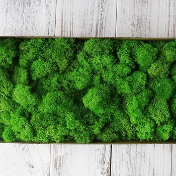 50 г/пакет Высококачественных искусственных зеленых растений бессмертный поддельный цветок Мох трава домашняя декоративная стена DIY цветок трава аксессуары