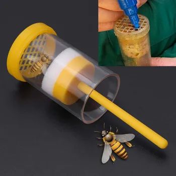 Бутылка для маркера пчелиной матки Защищает безопасную пчелоуловитель Желтая пластиковая бутылка для маркера фермы Поршень Плюшевые аксессуары для садового пчеловода