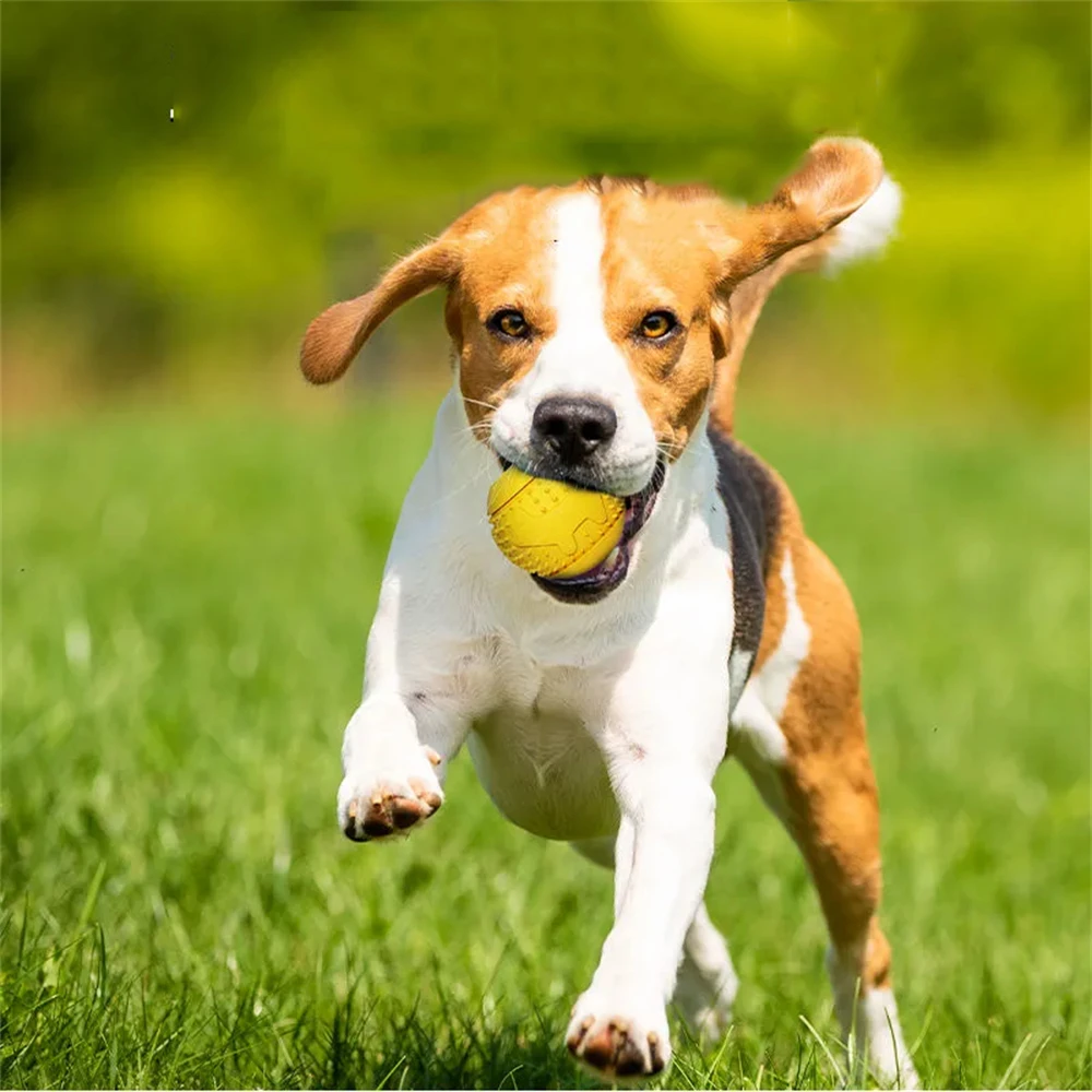 Игрушечный Мяч Для Домашних Собак, Устойчивые К Укусам Коренные Зубы, Прыгающий Мяч Для Собак, Плюшевый Резиновый Тренировочный Мяч Для Собак Малого и Среднего Размера